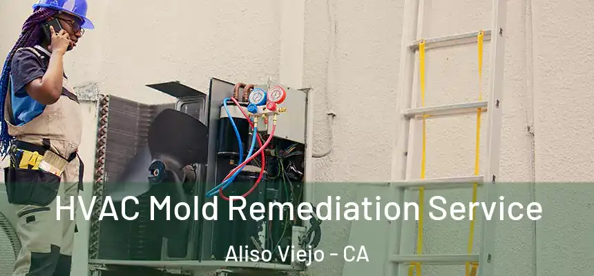  HVAC Mold Remediation Service Aliso Viejo - CA