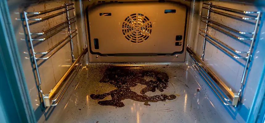 Our Dryer Vent Mold Cleaning Services in Aliso Viejo, CA