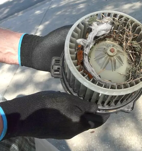 About Air Duct Rat Removal in Aliso Viejo, CA