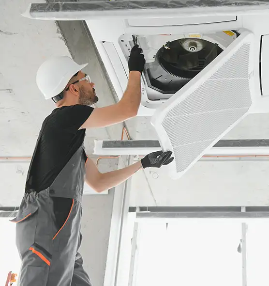 About Air Duct Rodent Removal in Aliso Viejo, CA