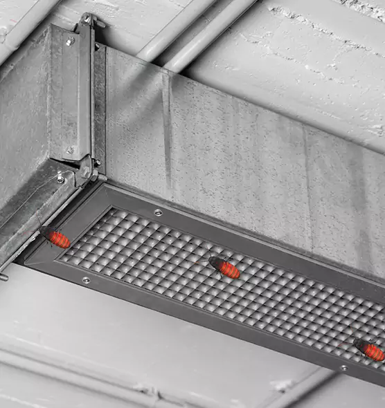 Affordable Insect Removal from Air Ducts in Aliso Viejo, CA