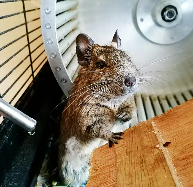 Why Homeowners & Businesses Trust Us Aliso Viejo, CA