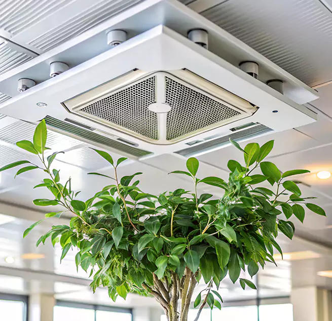 Why Homeowners & Businesses Trust Us in Aliso Viejo, CA